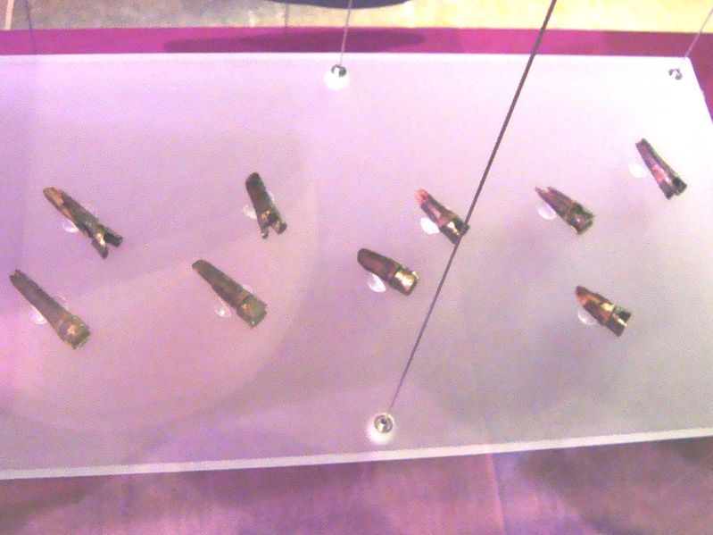 File:Hedeby Royal Burial Arrow nocks.JPG