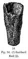 Scabbard end - Ballinaby Grave 1 (Anderson 1880).JPG