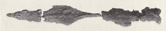 Spear, Kiloran Bay (Grieg 1940 fig 27).jpg