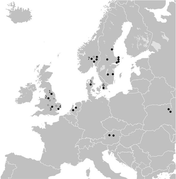 File:DomedHelmetMap.jpeg