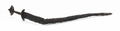 BM-Web Sword, Shepperton 1856,0701.1405.jpg
