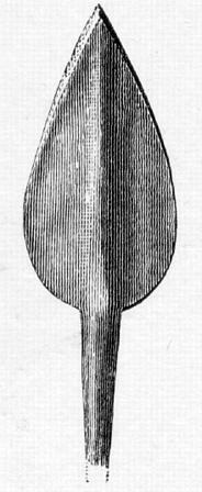 File:R550.jpg
