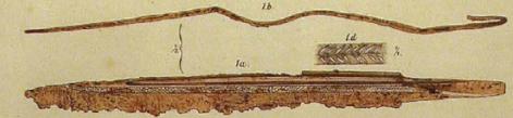 File:Pl5.fig1.jpg