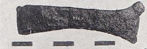 File:Axe WalthamstowI.jpg