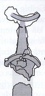 File:Sword Cumwhitton grave6 L.jpg