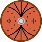 File:Shield goliath2.jpg