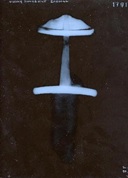 File:Sword wales Lv.jpg