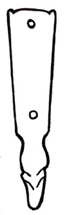 File:Strap-end Type I.jpg