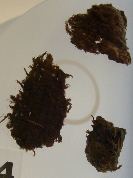File:IOM-Cronk Moar Cloak a.jpg