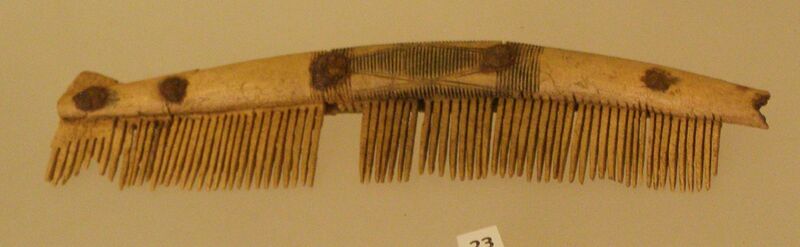 File:Cnip-Comb.jpg