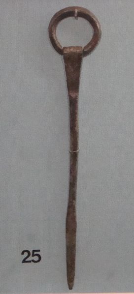 File:Norwich-Ringed Pin, Brooke.JPG