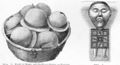 Thumbnail for version as of 19:14, 24 October 2016