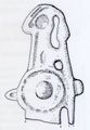 PAS LEIC-C58A13