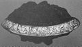 Thumbnail for version as of 08:41, 16 March 2014