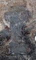 Thumbnail for version as of 19:32, 13 October 2015
