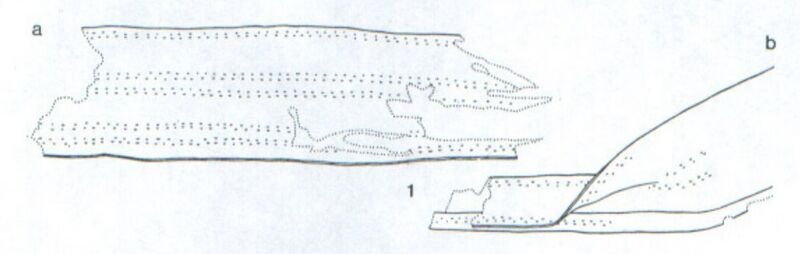 File:Groenman Van Waateringe Strap 28.1.jpg