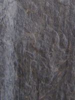 119