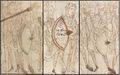 BL MS Add. 49598 Psychomachia