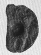 Birka Gr.817