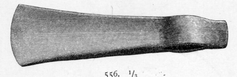 File:R556.jpg