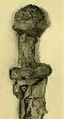 Thumbnail for version as of 18:30, 19 March 2014