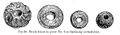 Beads - Ballinaby Grave 2 (Anderson 1880).JPG