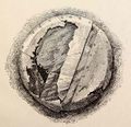 Worsaae 1969 - Mammen, pl.8.2 Copper-Alloy Cauldron.JPG