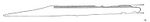 Langseax unknown.jpg