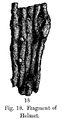 Helmet fragment - Ballinaby Grave 1 (Anderson 1880).JPG