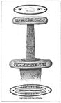 Proc.S.A.L Vol.3 Sword-Berkshire.JPG