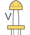 Type V