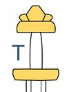 Type T