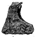 Axe 1 - Ballinaby Grave 1 (Anderson 1880).JPG