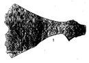 Edwards-Axe Ballinaby.jpg